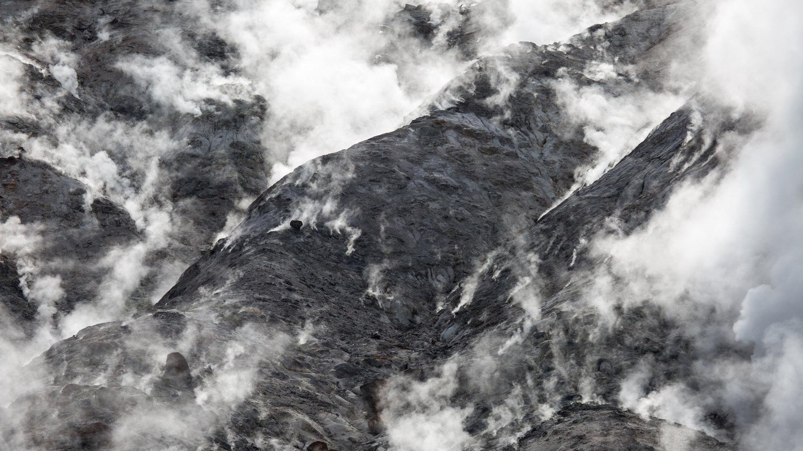 Steam rises from a rocky, gray hillside covered in fumaroles.