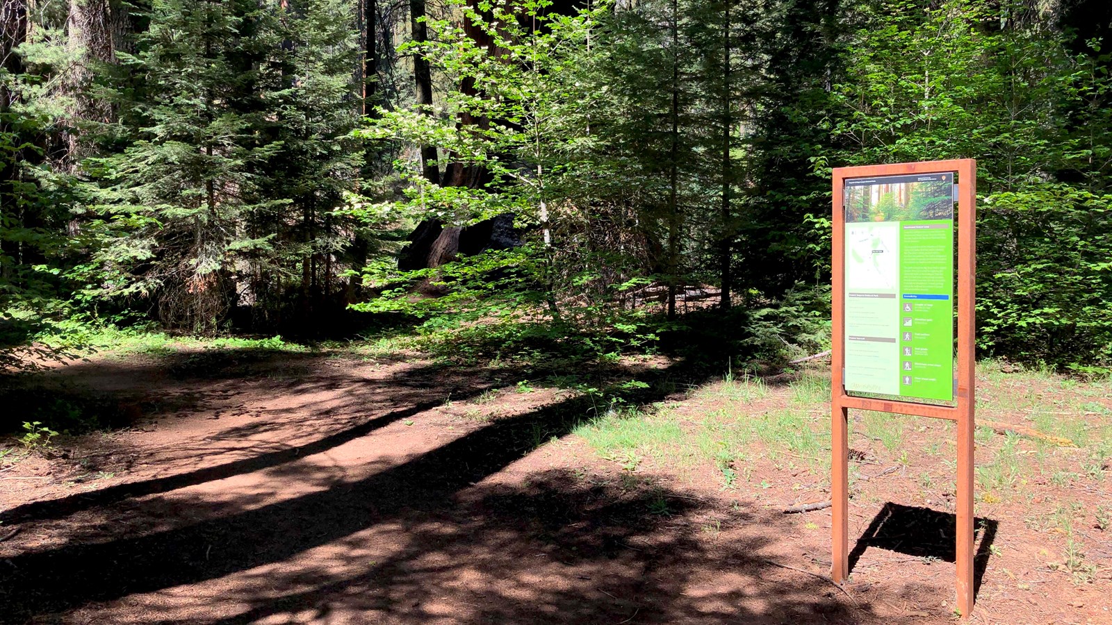 A trailhead sign stands along a junction of two trails in a wooded area.