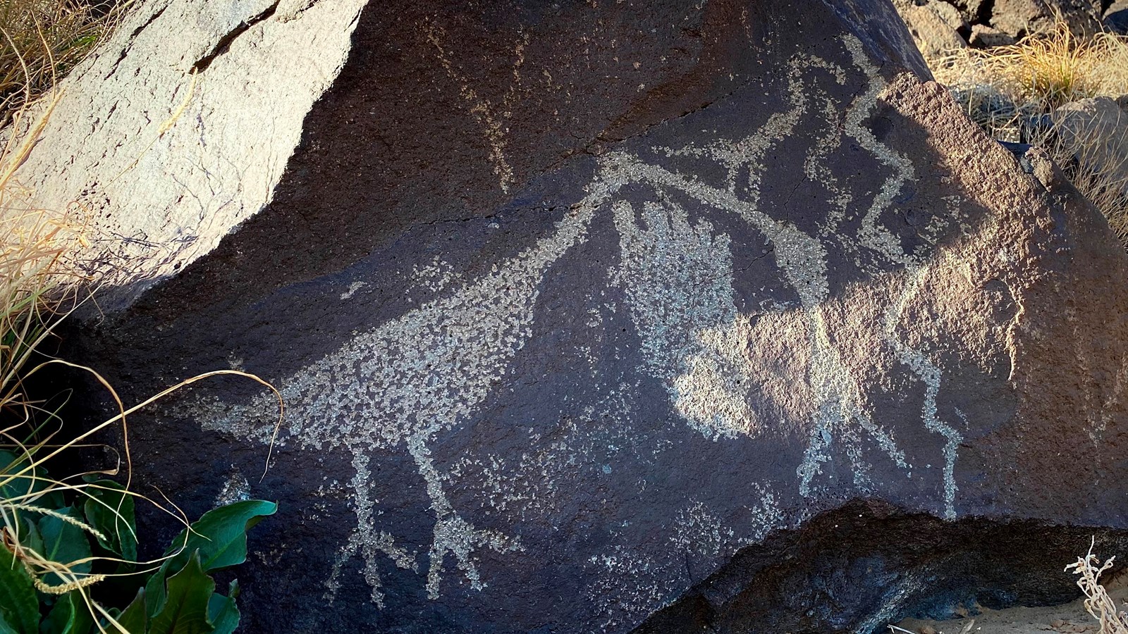 A petroglyph of a bird and a human footprint on a dark volcanic boulder.