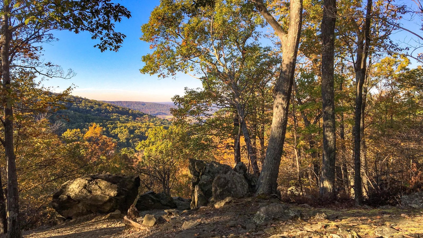 Rough boulders and tall tree trunks frame an overlook showing distant valleys.