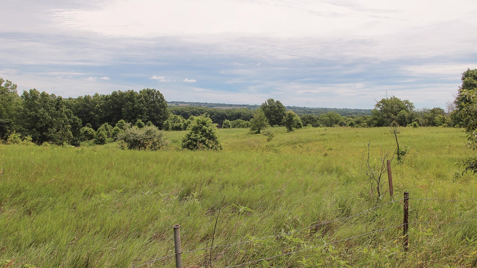 A rolling landscape of green grass and forest stretches into the distance under a cloudy blue sky.