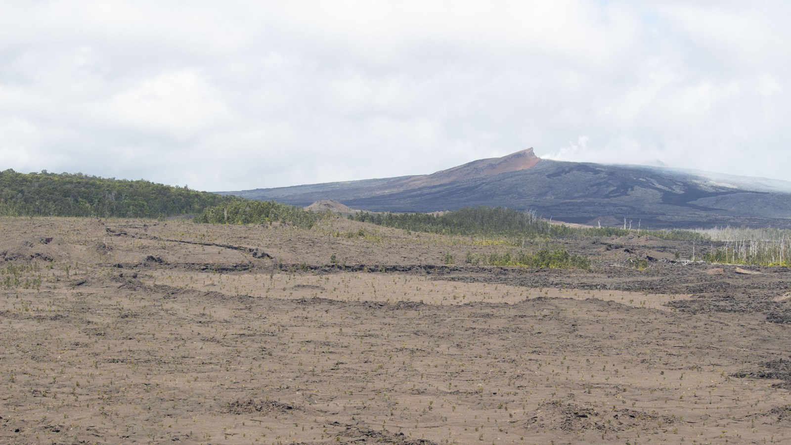 Photograph of a steaming lava shield in a distance.
