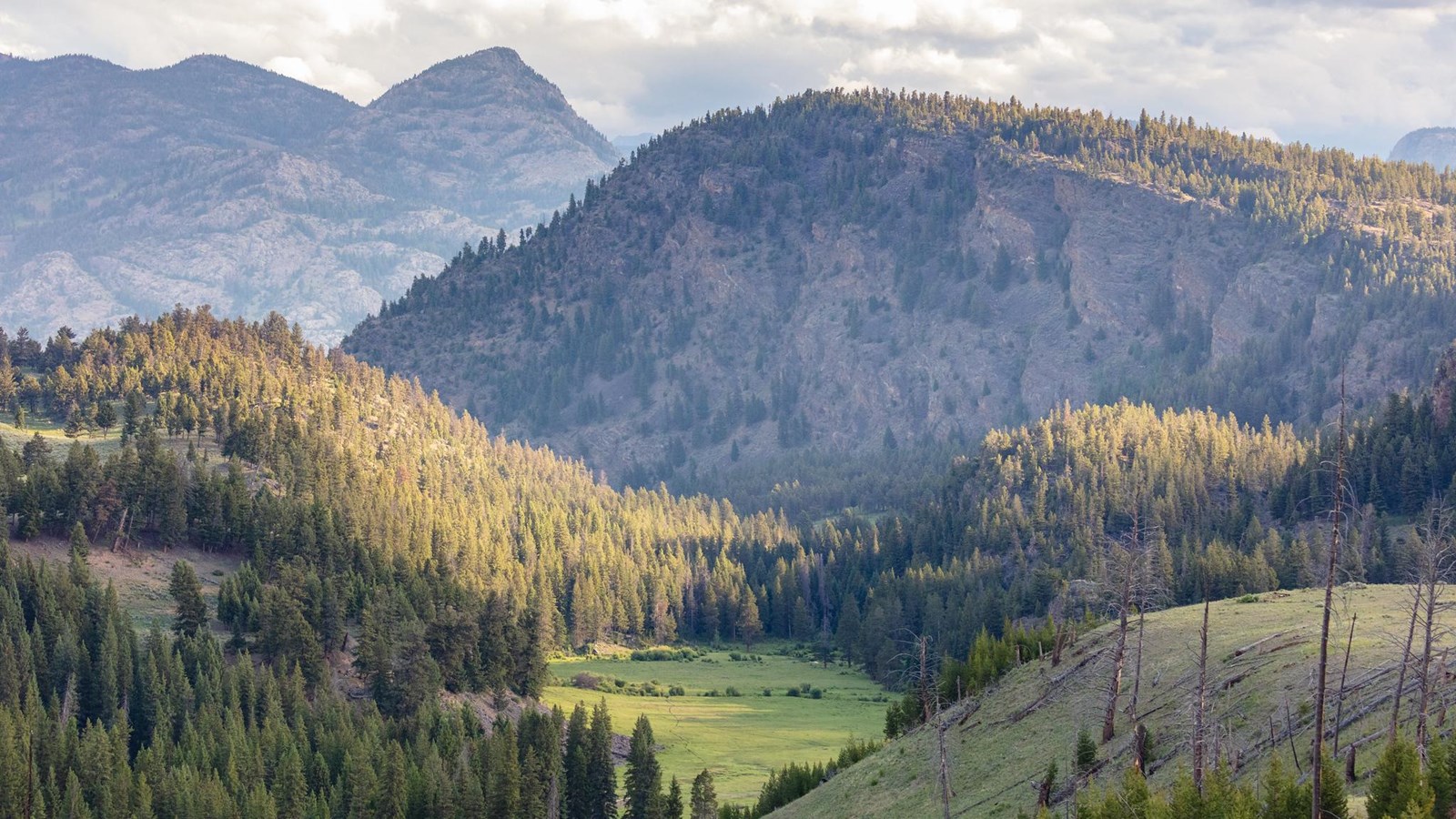 A hill with burned trees overlooks a view of a small meadow set beneath two, rocky peaks.