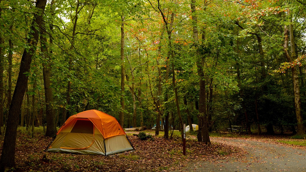 a tent in the Greenbelt Park Maryland campground
