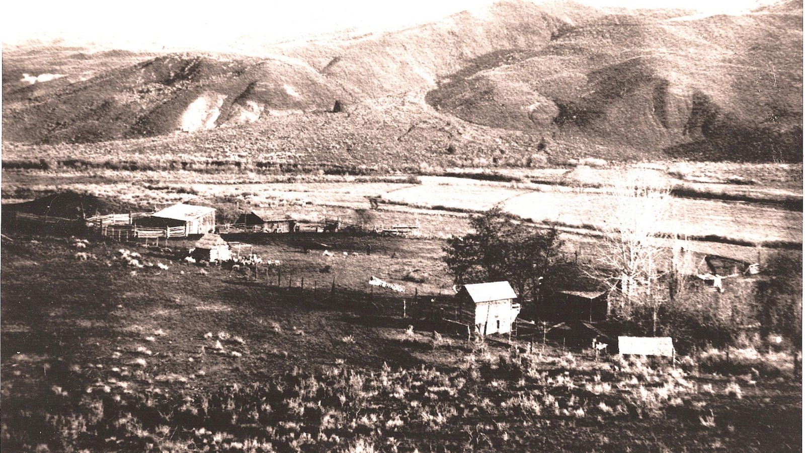 An old photograph looking across the Officer homestead.