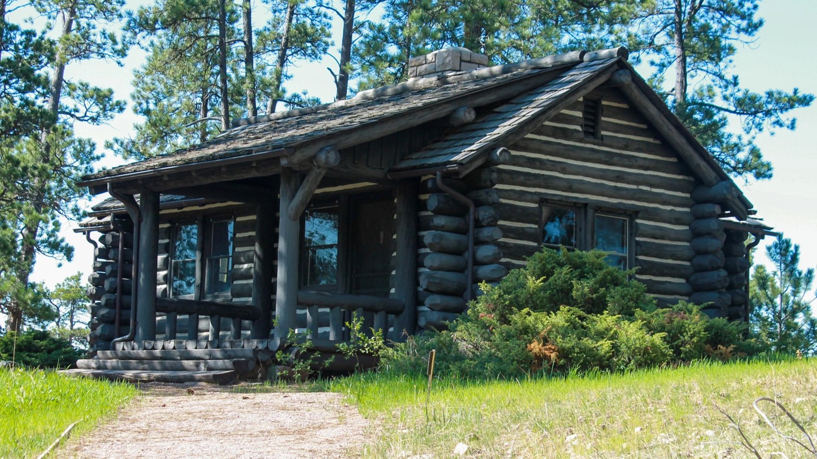 Log cabin along a gravel path in a pine forest