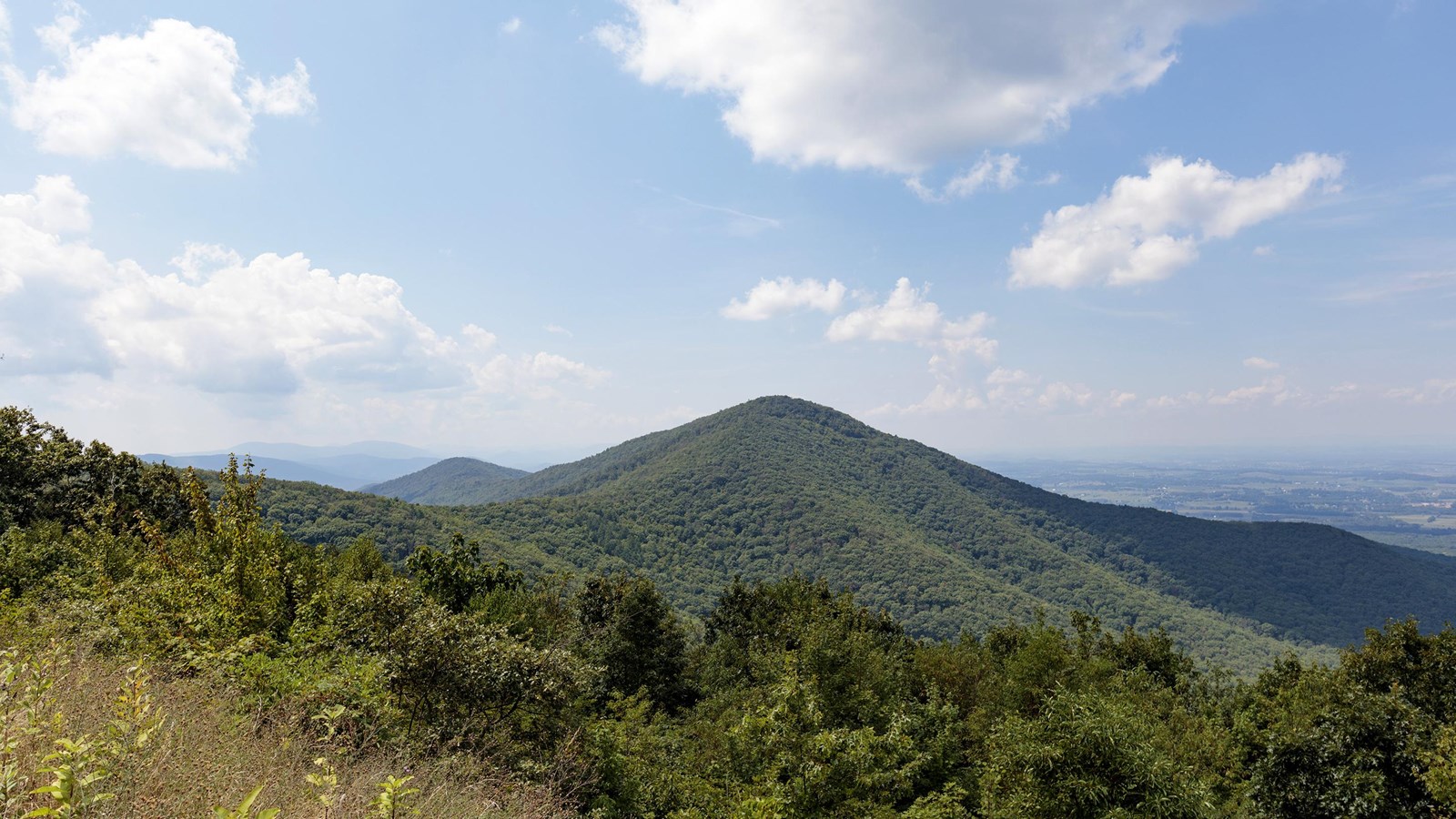 A summer view of green bushes in the foreground and a large mountain in the right background.