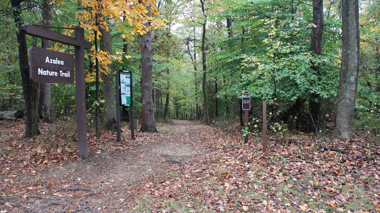 a trail in Greenbelt Park Maryland