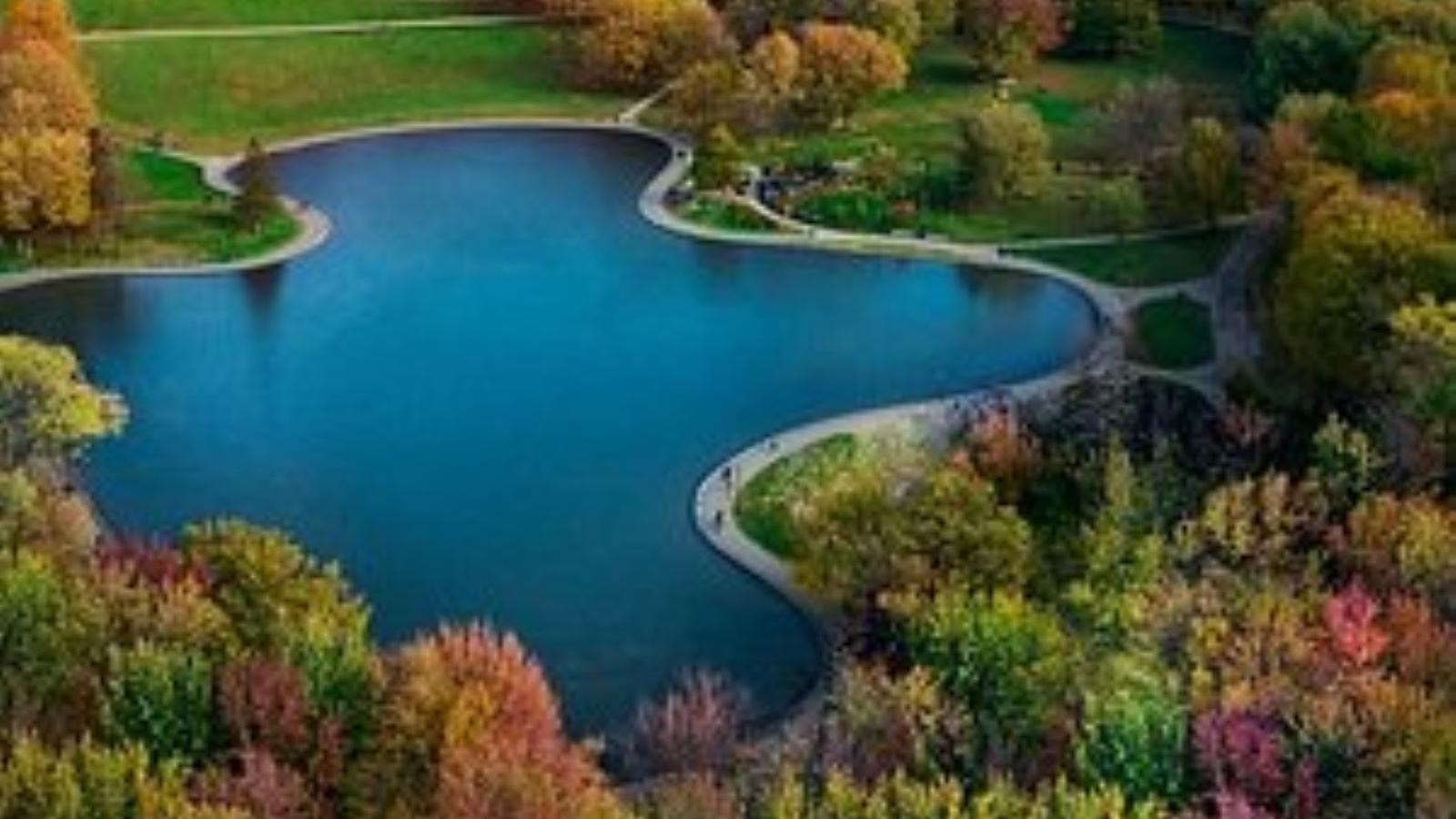 Aerial view of park next to city with large body of water, curving paths.