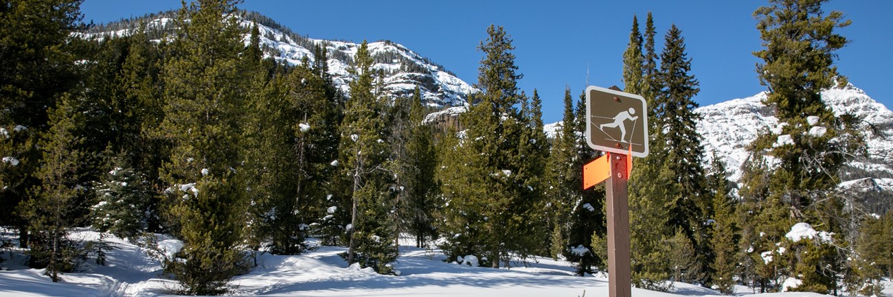 The Barronette Trail starts at one of two trailheads on the Northeast Entrance Road.