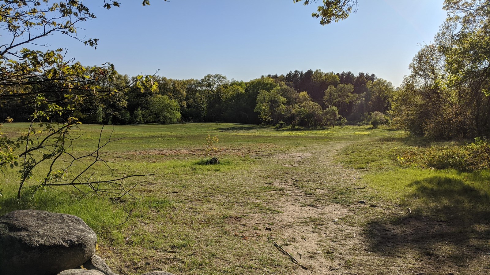 An open grassy meadow with a low stone wall running along the edge.