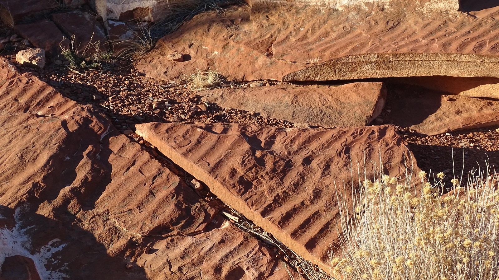 Slabs of red-brown rock with a raised, rippled pattern.