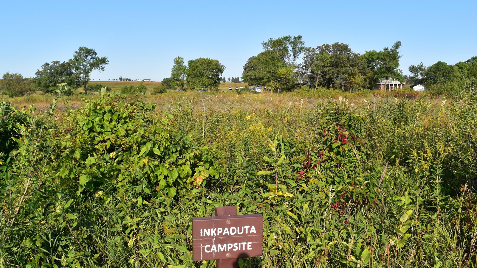 Tallgrass prairie under a blue sky and a brown sign marking the location