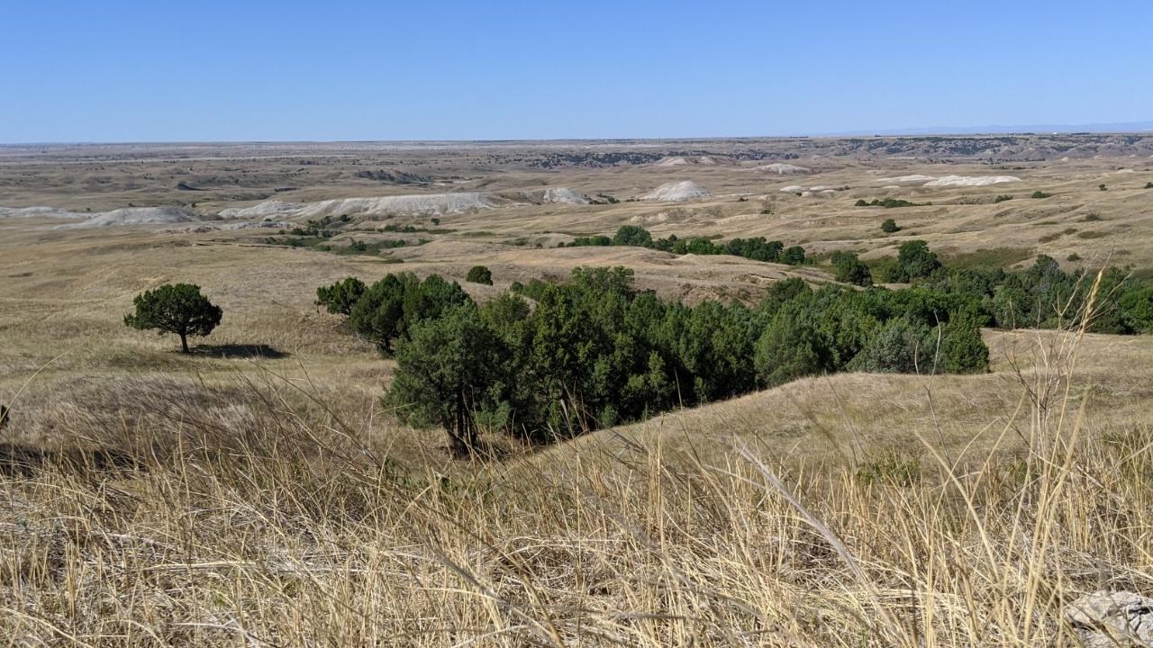 Brown prairie grasses extend into the horizon with occasional cottonwoods under a blue sky.