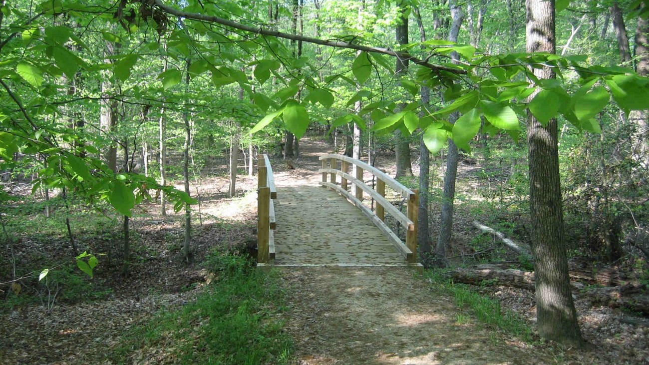 a trail in Greenbelt Park Maryland