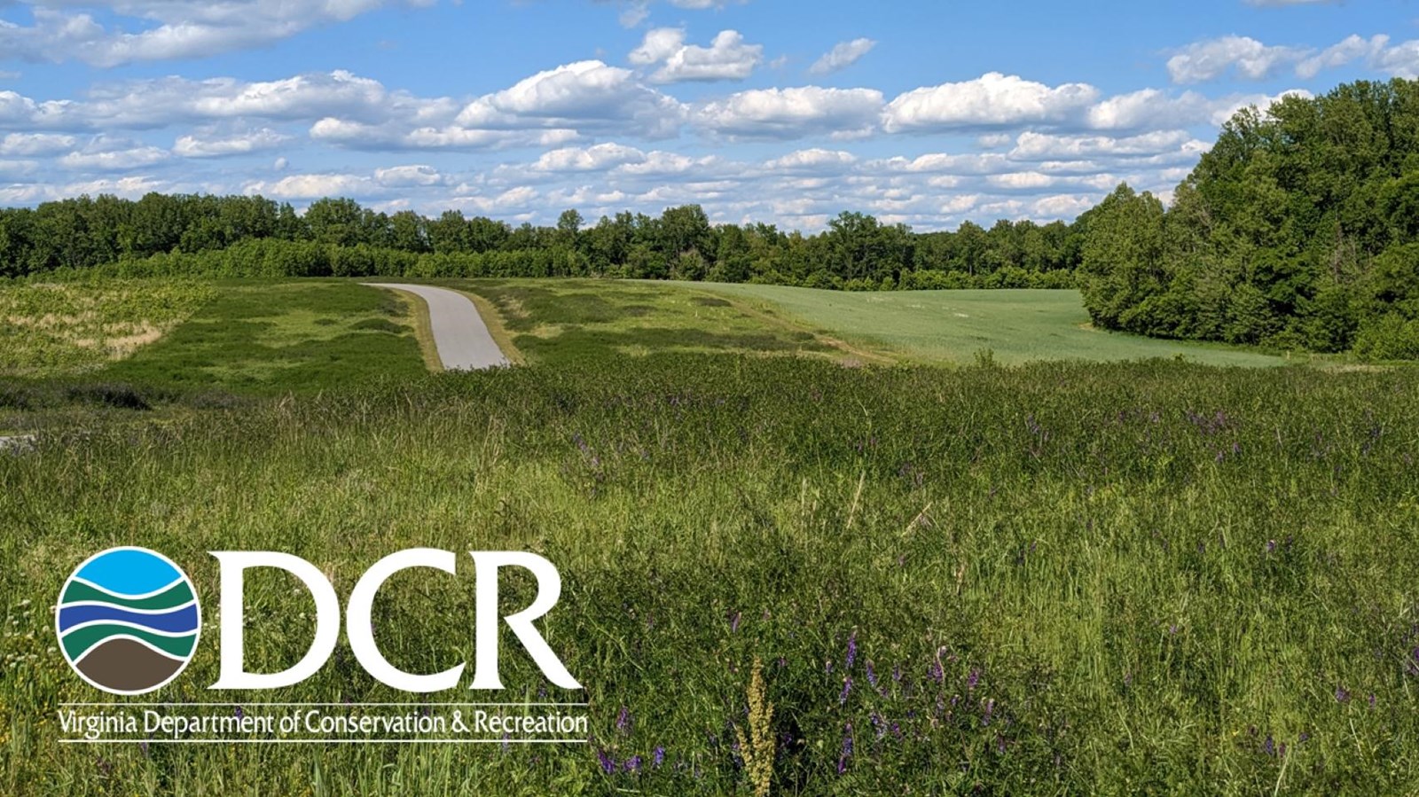 Green meadow with a curving paved trail, surrounding trees, and a blue sky filled with clouds.