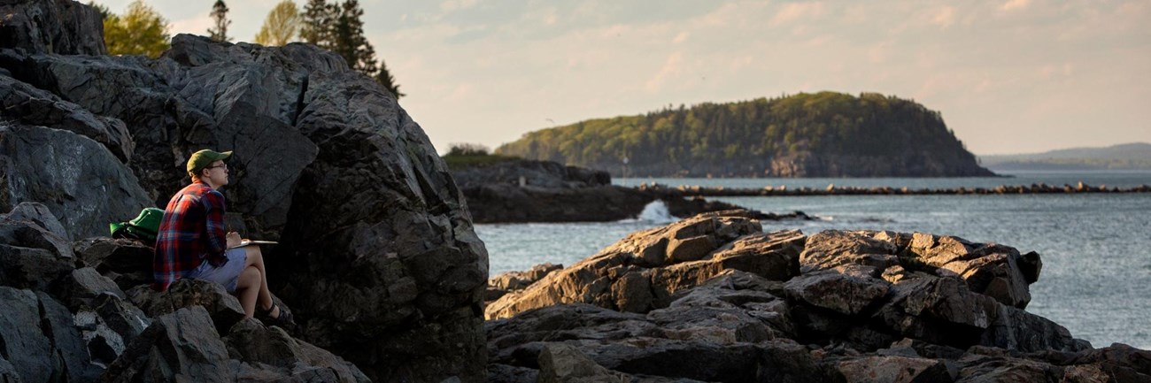 Visitor sitting on rocks looking out at the ocean