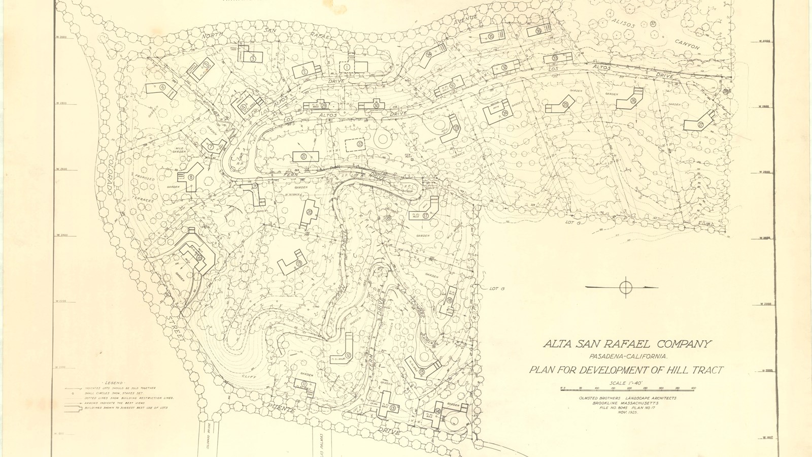 Pencil plan of community with curving tree lined roads and homes for lots  