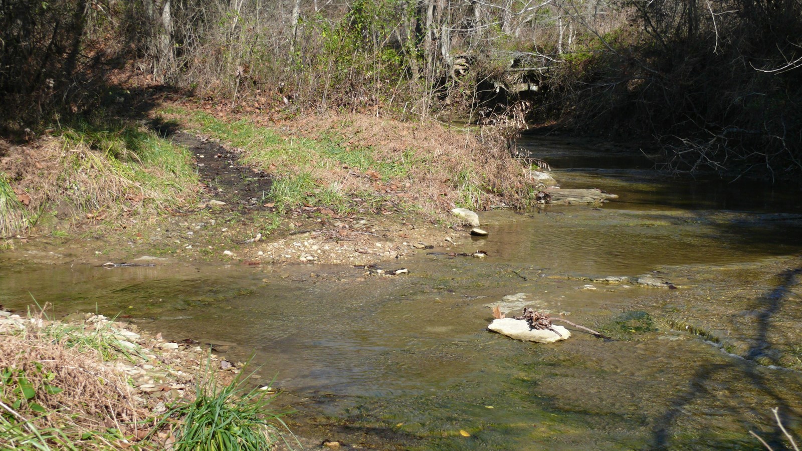 small creek with running water with rocks and grass on either side.