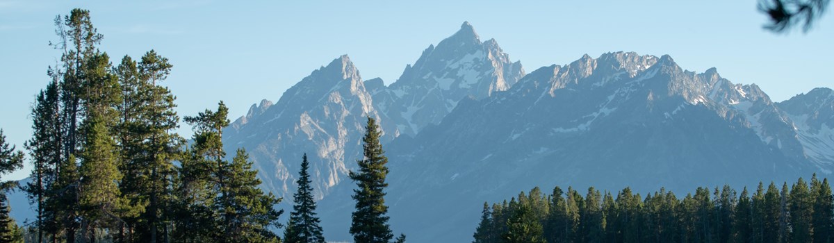 Mountains viewed across a Lilly pad-covered pond.