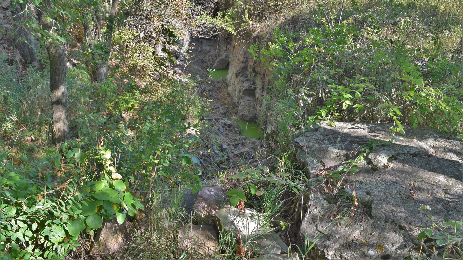 Deeply dug quarry surrounded by trees to the left and prairie grass to the right
