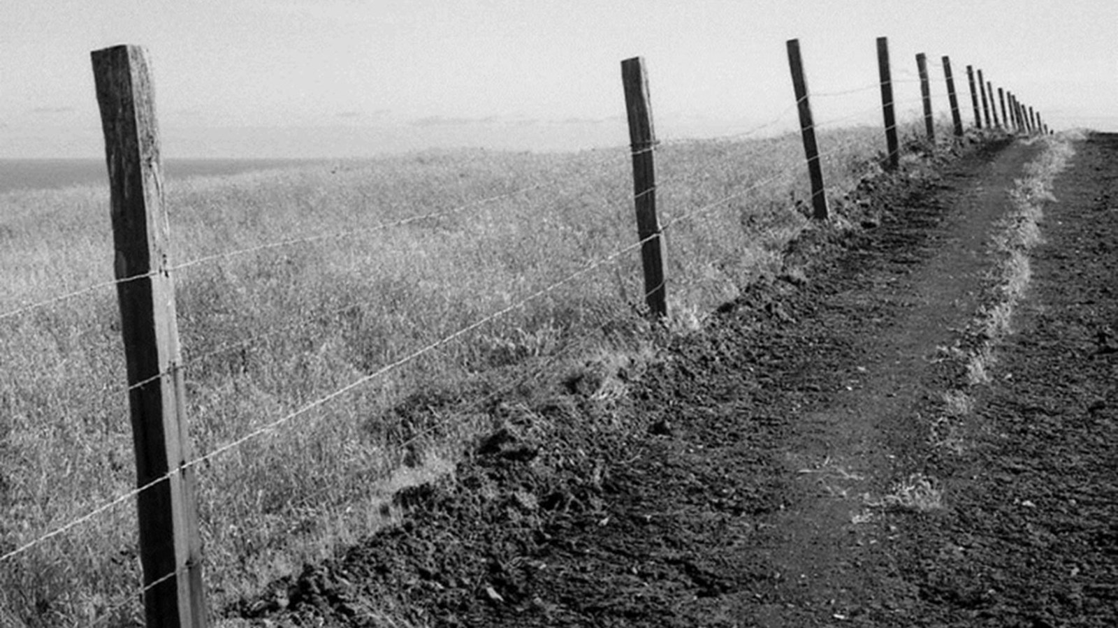 Wood fence posts with wire running in between them.