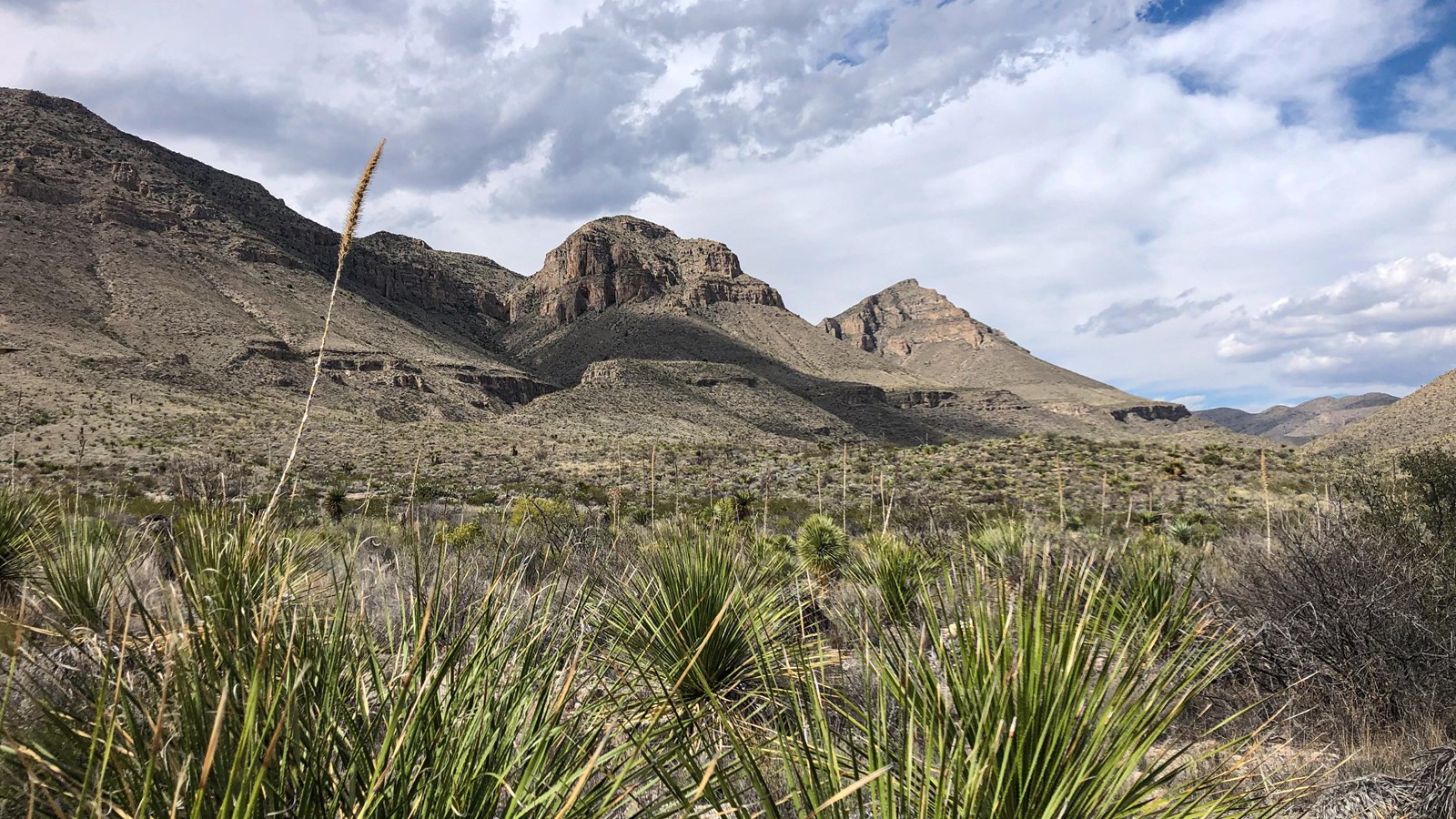 Mountains composed of limestone rise above a valley covered with desert plants.