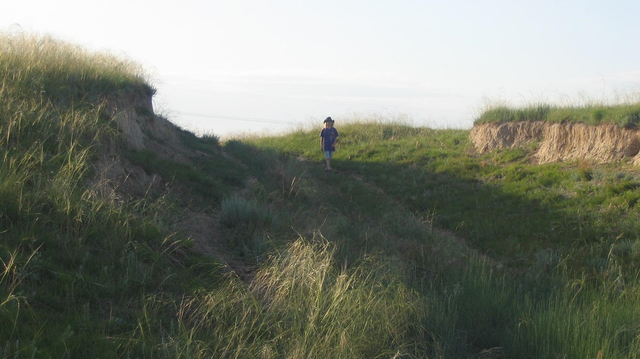 A person walks on a grassy hill.