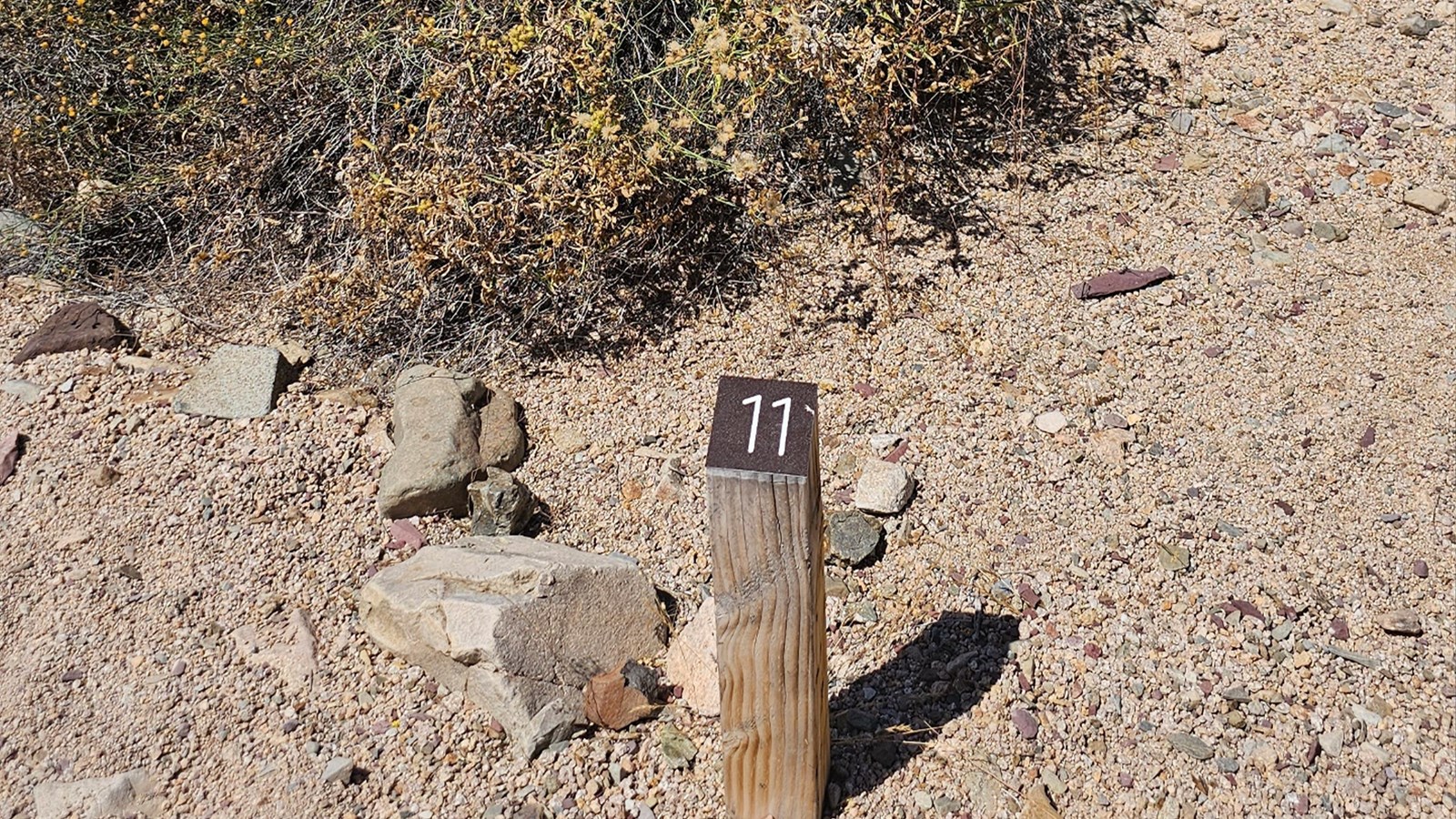 A small wood post sits among sandy soil, behind it a lush bush is seen.