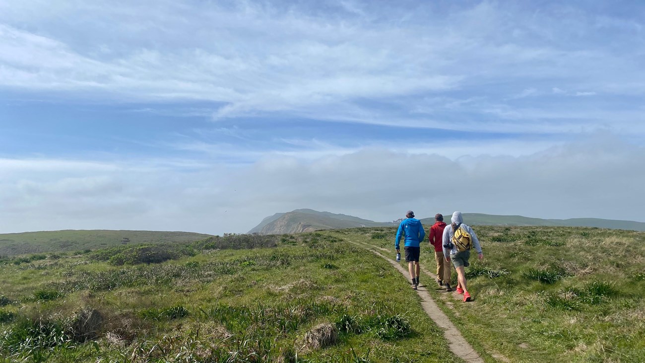 Three hikers on a dirt, single track trail through lush green grass. 