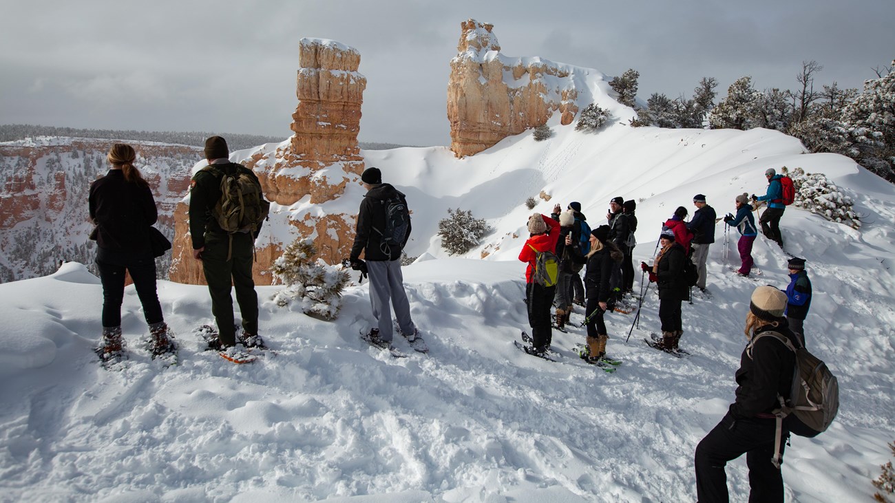 A group of people in snowshoes stand on the rim of a limestone spire-lined canyon