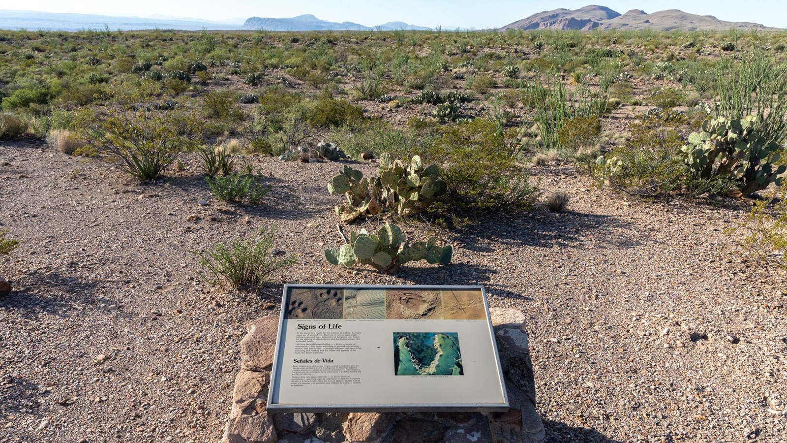 A metal sign mounted on a rock pedestal looks out over a rocky landscape covered in desert plants.