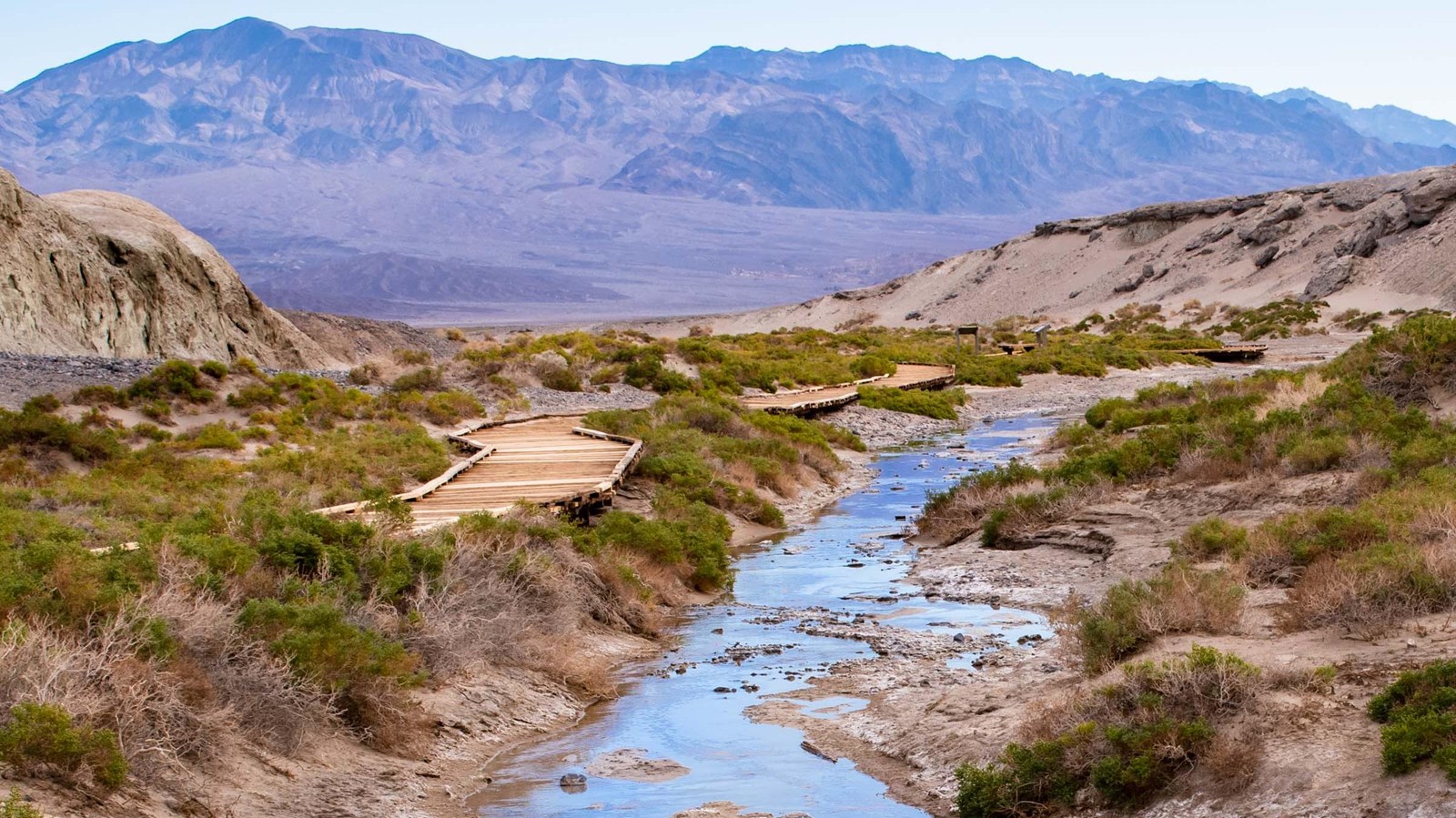 A winding wooden boardwalk parallels a small creek surrounded by low green desert plants.