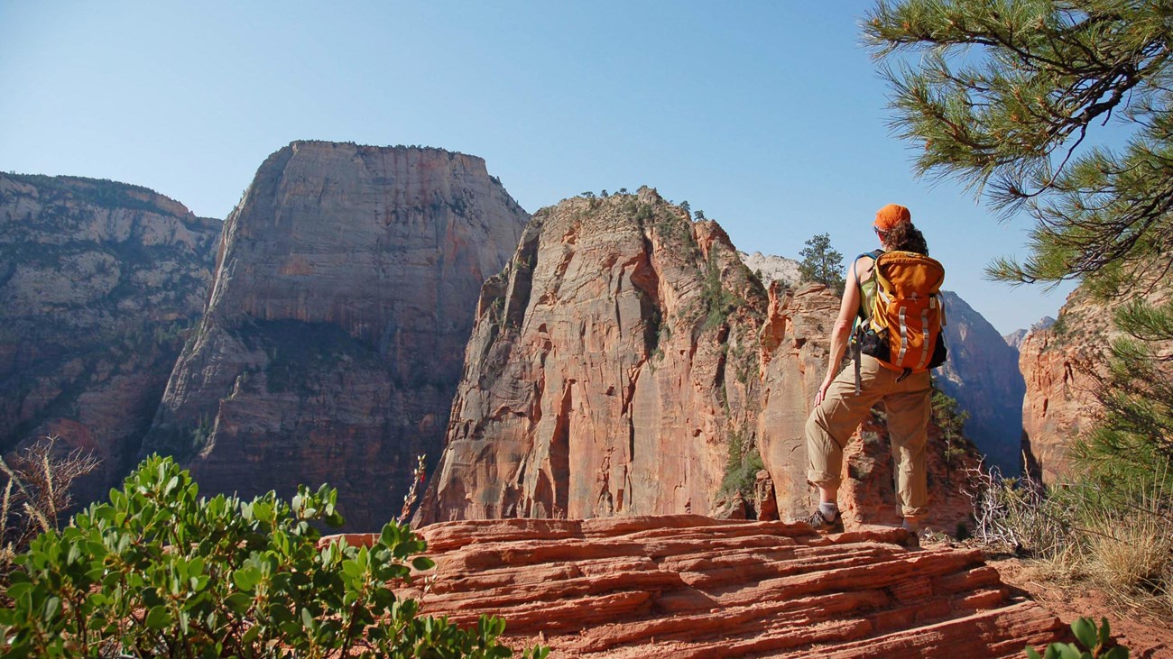 A hiker with an orange backpack standing on sandstone looks at the Angels Landing peak.
