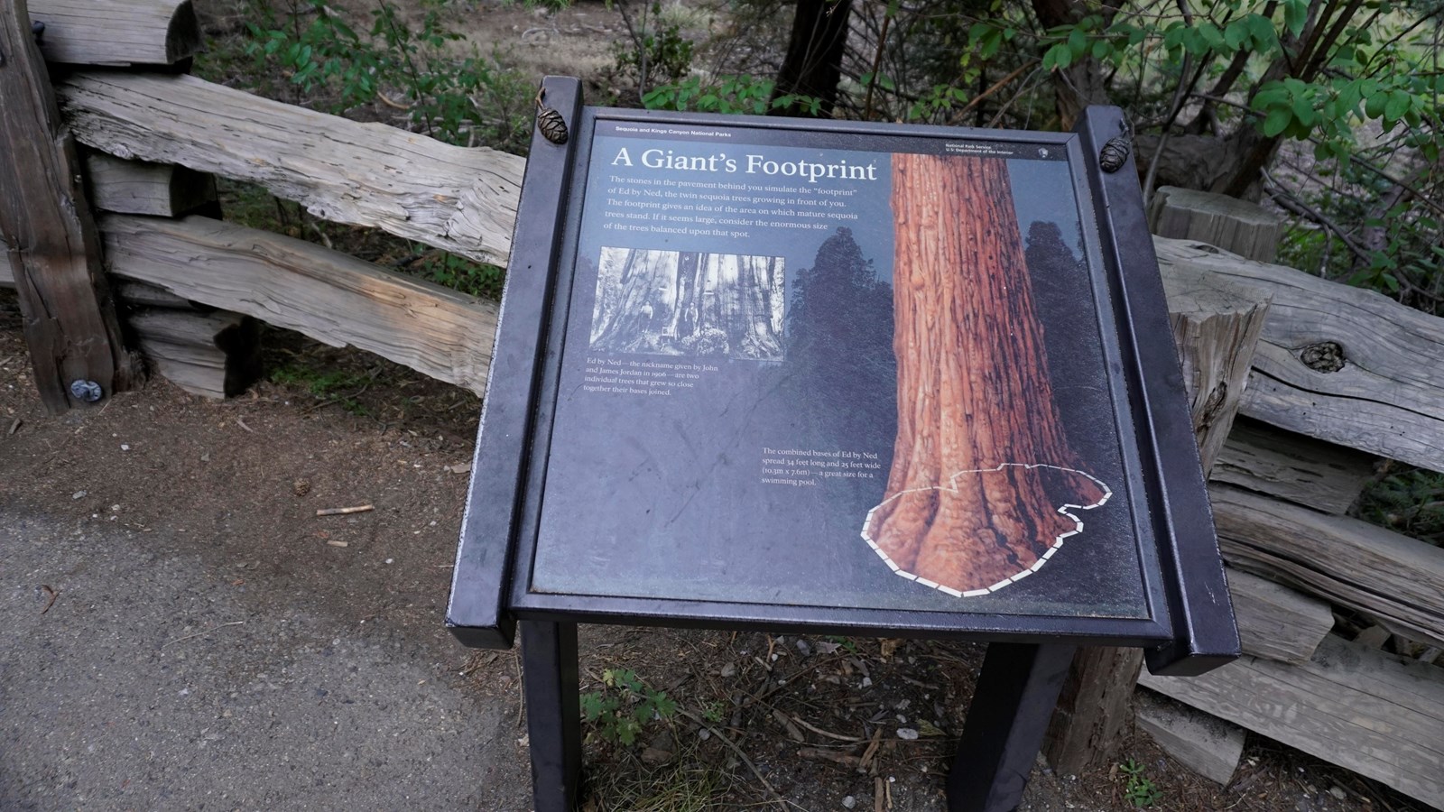 A black metal panel with illustrations and text on it informs visitors about giant sequoia