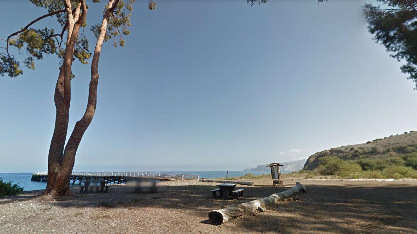 picnic area with tables and tall trees next to beach