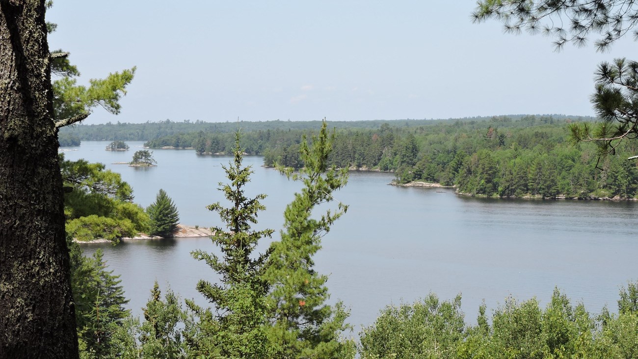 A view of Kabetogama Lake framed by pine trees.