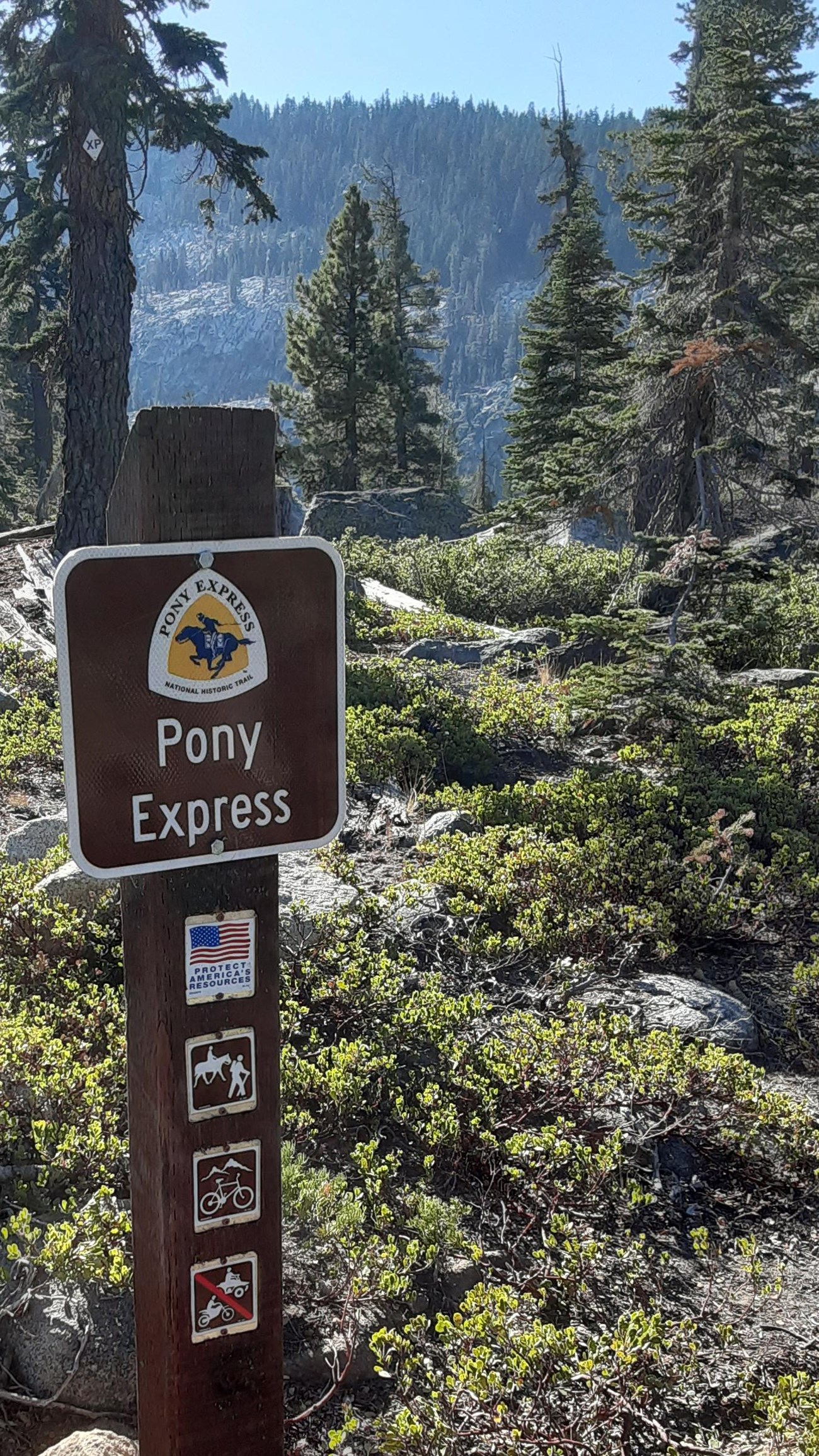 A wooden trail sign in the forest.
