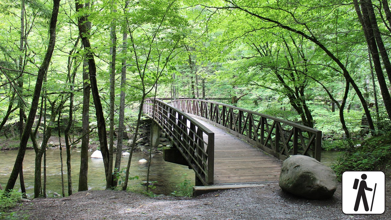 A bridge over a river surrounded by green trees. A road past the bridge in the distance.