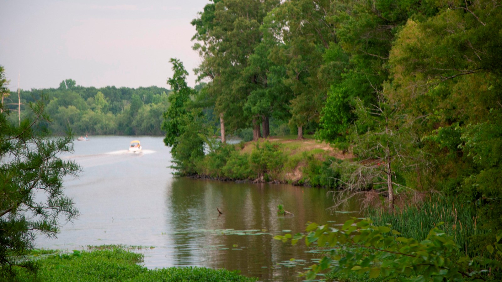 A portion of a lake with a tree covered bank.