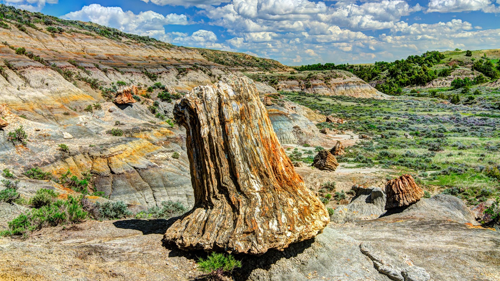 A sunny day in the badlands, petrified wood in the foreground stands at the edge of a valley.