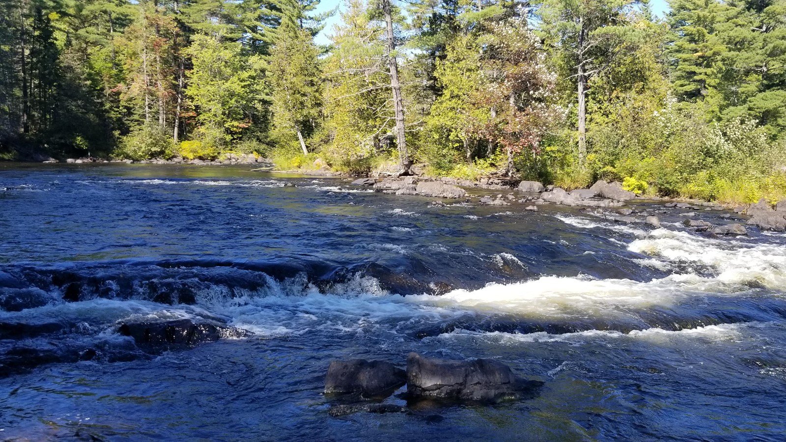 Rapids and a small waterfall along a turbulent section of river surrounded by forest on both sides.