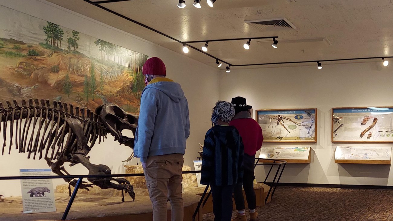 People looking at fossil exhibits in museum lighting, including articulated skeletons.