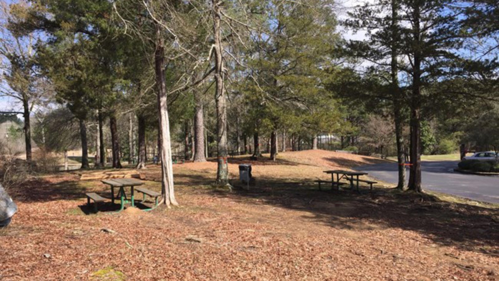 A shady area with picnic tables, next to a parking lot.