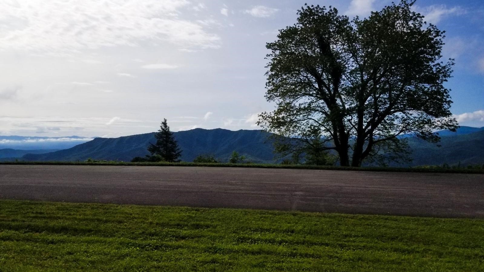 A road passes between grass and a dropoff of a mountain view with a prominent leafy tree.