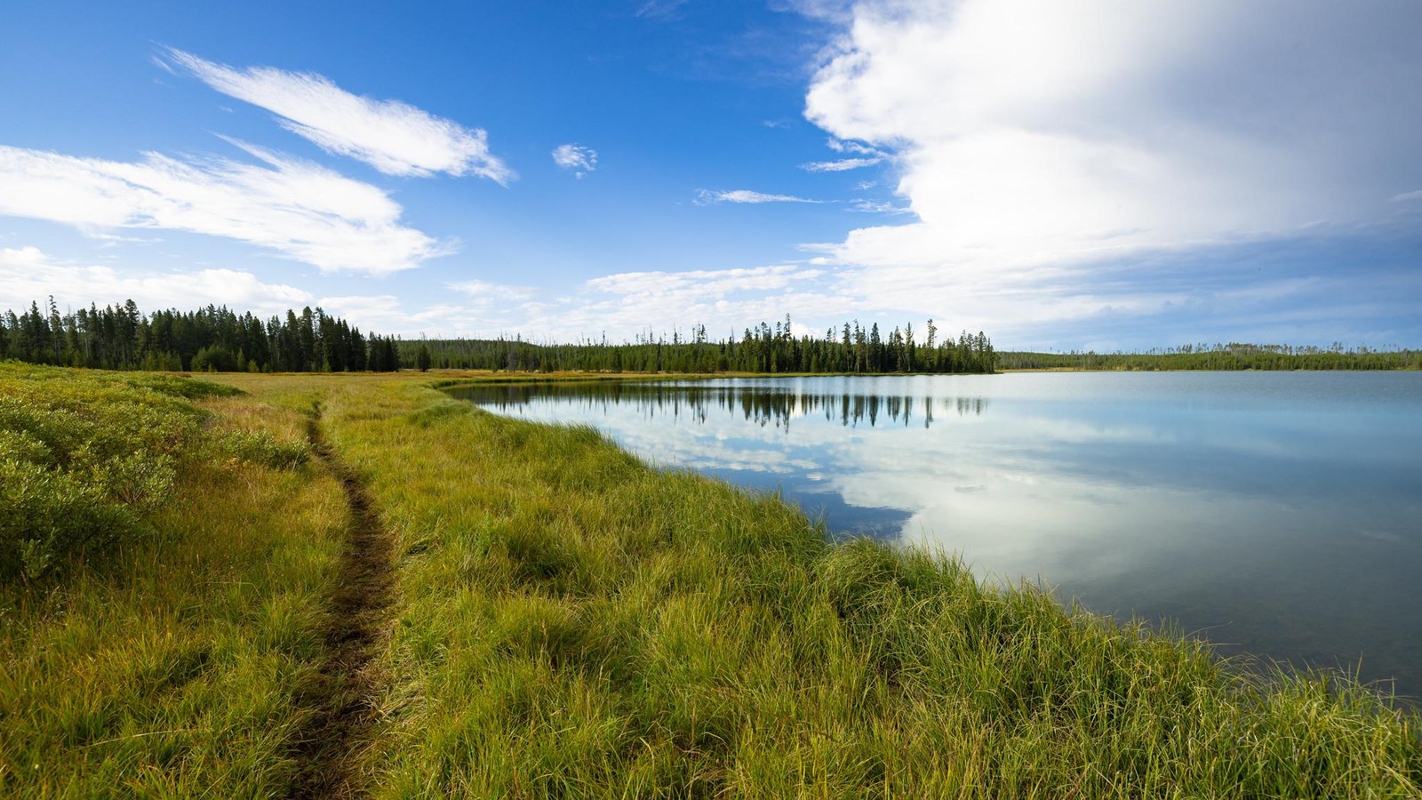 A trail runs through the grass alongside a lake.