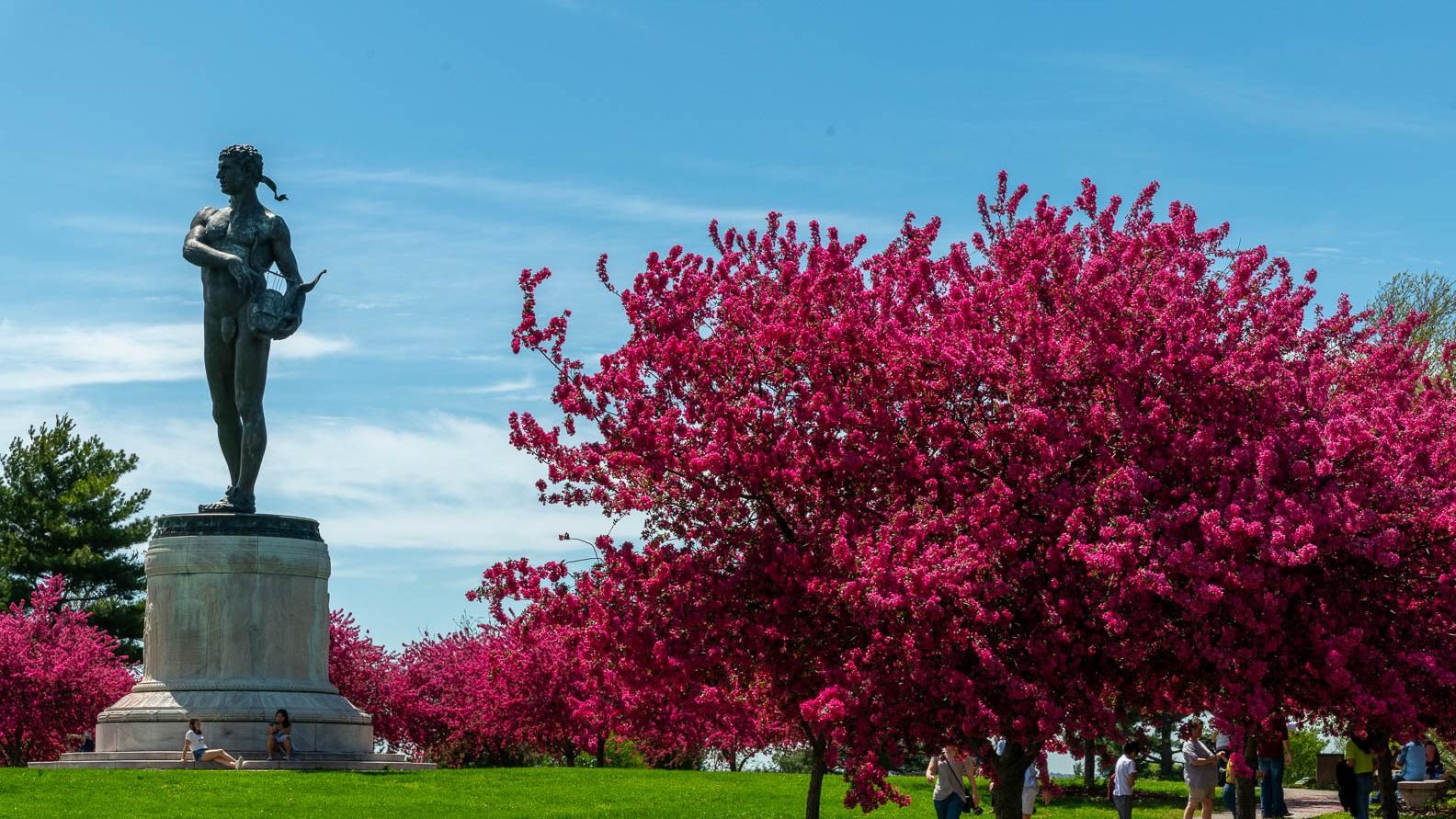 A picture of the Orpheus statue on a sunny day with blooming trees.
