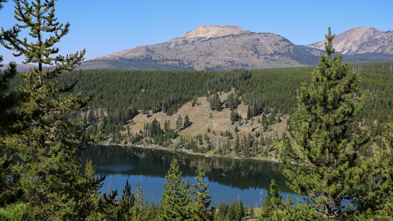 A view through the trees of a lake below and mountains above.