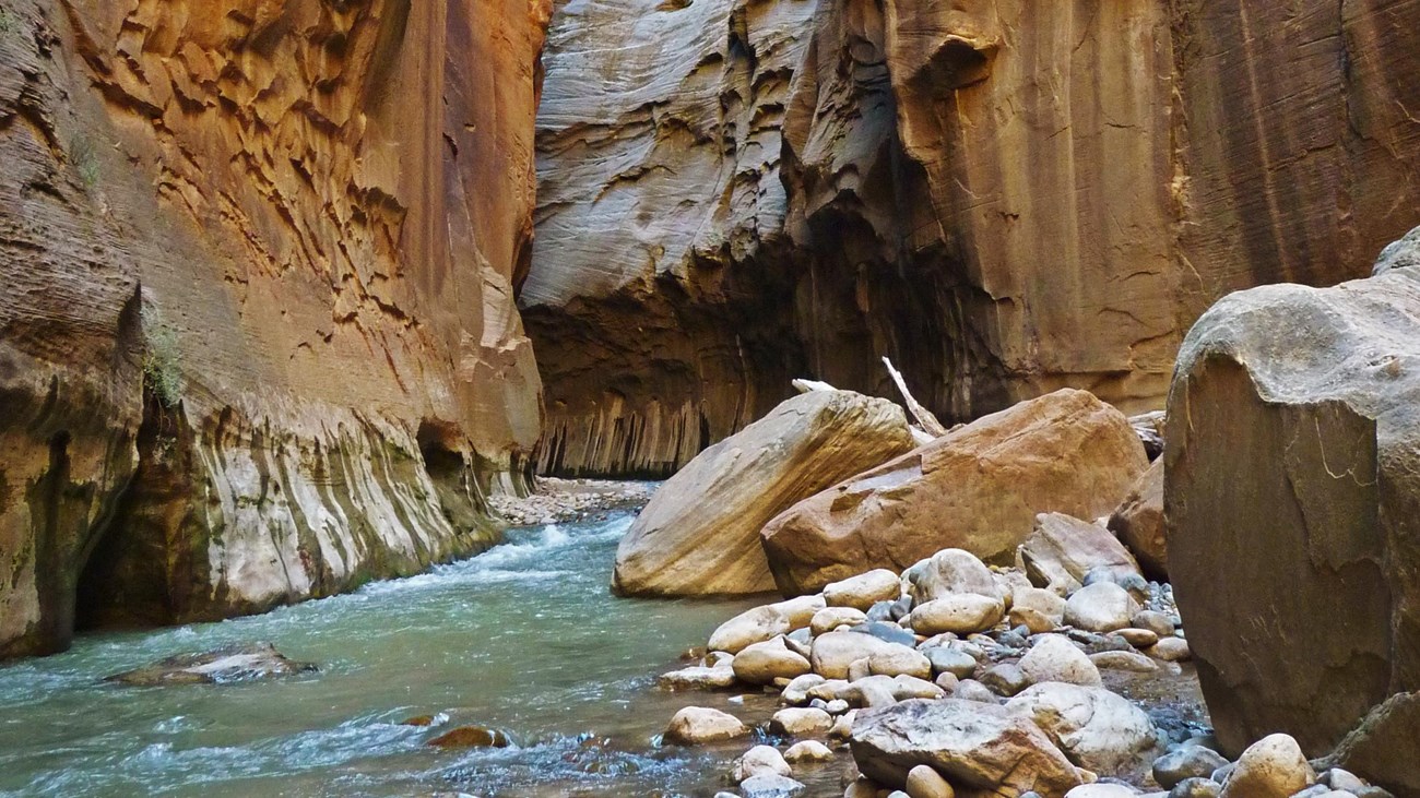 Red sandstone canyon walls frame the blue water of the Virgin River below.