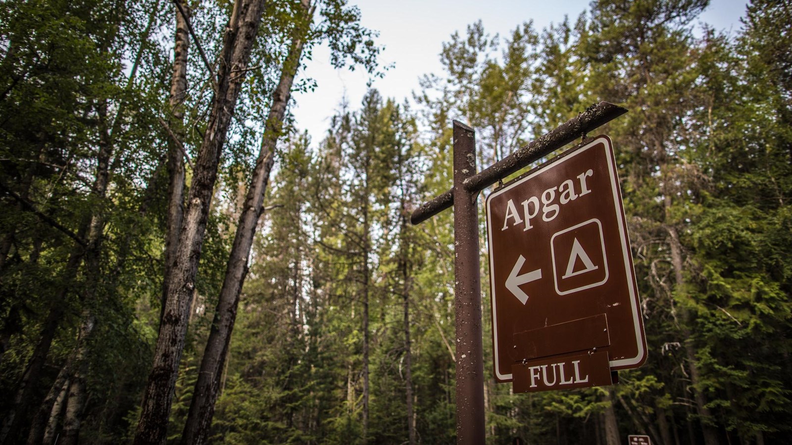The entrance sign to apgar campground, reading